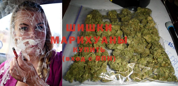 тгк Новодвинск