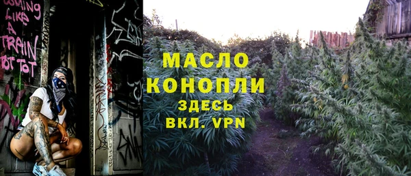 тгк Новодвинск