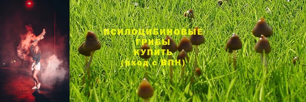 тгк Новодвинск