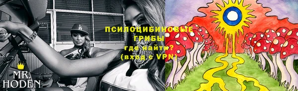 скорость mdpv Новозыбков