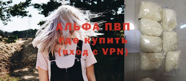 тгк Новодвинск