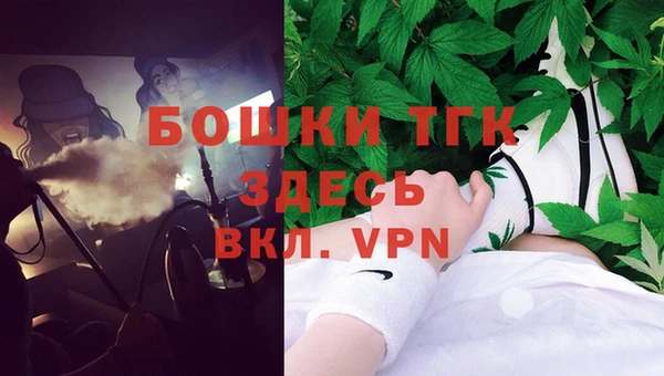тгк Новодвинск