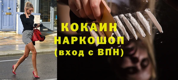 тгк Новодвинск